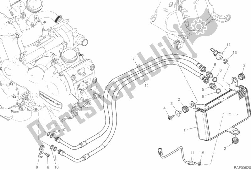 All parts for the Oil Cooler of the Ducati Multistrada 1260 ABS Brasil 2019
